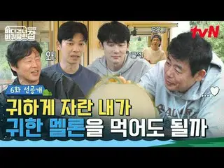 Tonton di Tving:

 RV Menyeberangi Laut: Hokkaido
 ✔ Ditayangkan setiap hari Min