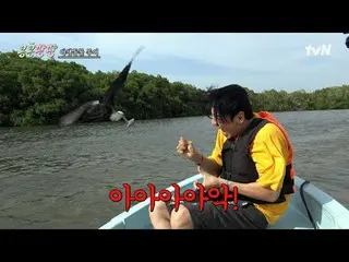 Tonton di Tving:

 #KongKongPangPang #Lee,GwangSu_ #KimWooBin_ #DoKyungSoo
 Kong