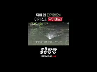 Trio Sahabat Sejati: Lee, GwangSu_ X Kim Woo-bin_ X Do Kyung-soo
 100% Perjalana