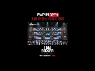 Acara survival tinju yang sangat seru 🥊 Saya seorang petinju 🥊
 Tayang setiap 