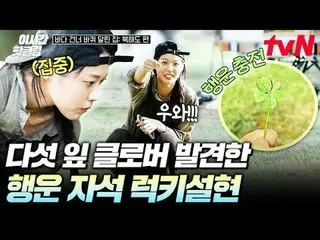 Tonton di Tving:

 #tvN #RumahDiAtasRodaMelintasiSamudraEdisiHokkaido
 Ayo tonto