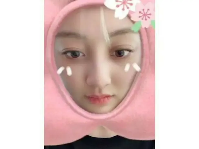 [Formula G] DUA KALI, bunga sakura tampak begitu besar baru-baru ini  Bunga saku