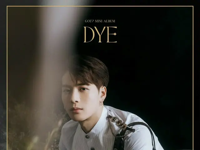 [D formula jyp] GOT7 <DYE> Gambar liburan #Jackson #金 英 #BamBam #Yugyeom  Judul 