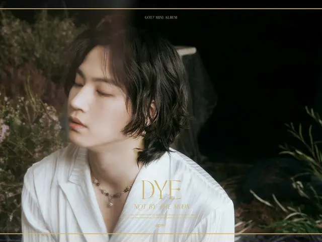 [D formula jyp] GOT7 <DYE> Gambar liburan  #JB #马克 #Youngjae  Judul baris "Bulan