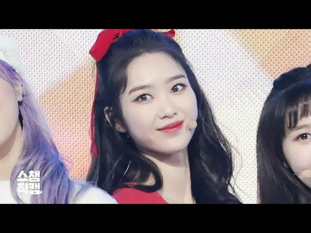 [Rumus T] OHMYGIRL, RT ALLTHEKPOP: [Pribadi 4K dari ShowChamber] OHMYGIRL-Dolphi