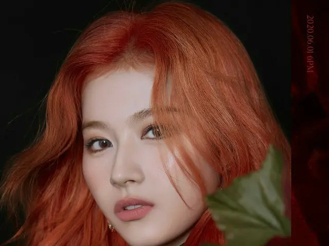 [D formula jyp] DUA KALI (DUA KALI) "lagi & lagi" foto konsep Sana  Semakin bany