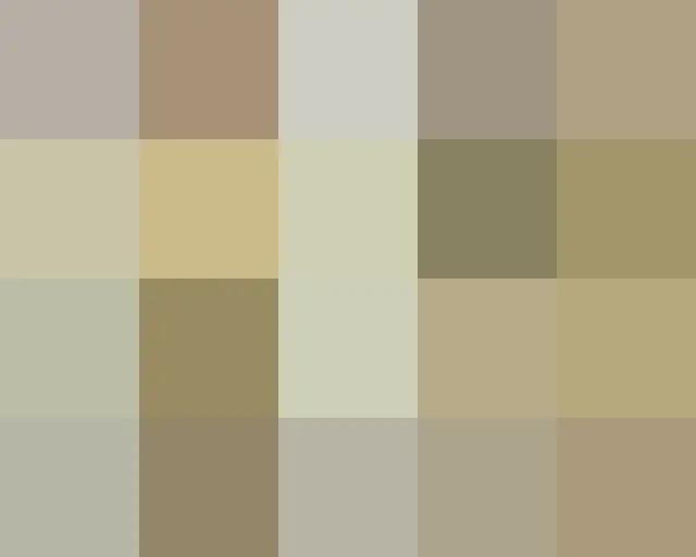 Video perayaan ulang tahun ke-20 diambil dari penyanyi BoA dan siswa SMP SM Ente