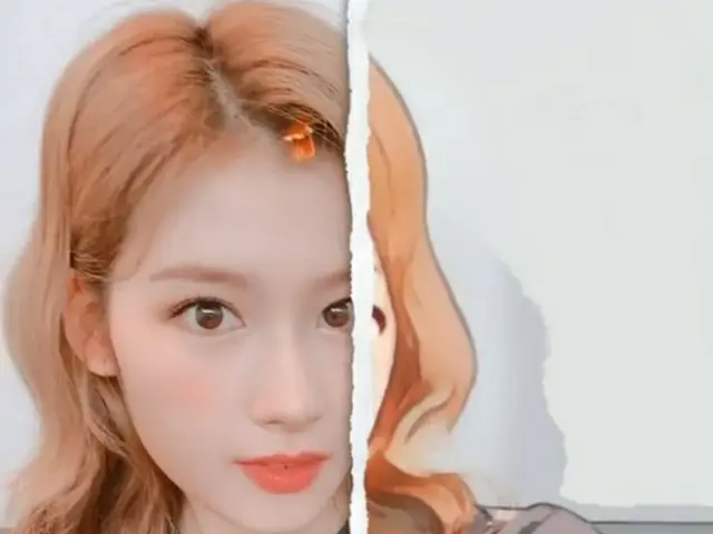 "TWICE" Sana berbicara tentang keinginannya untuk menantang berbagai warna rambu