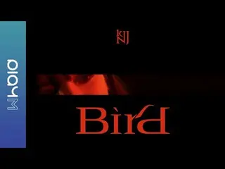 [Formula] A Pink, Kim Nam Ju (Kim Nam Ju) Single Album Pertama [Bird] Concept Fi