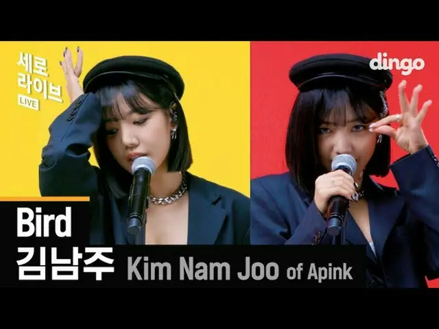 [Formula din] Teknik Pertunjukan Langsung (G) I-DL E_ Apink_ Namjoo (KIM NAM JOO