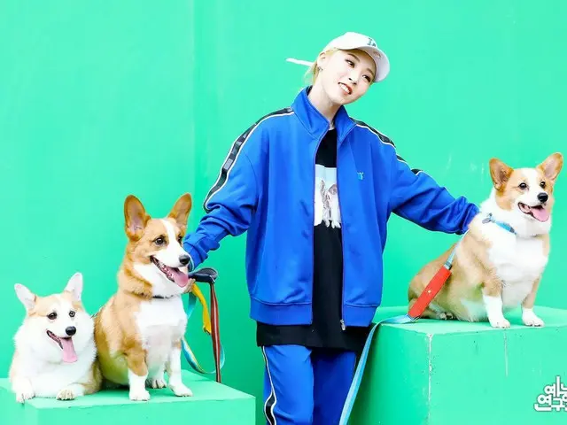 [Rumus T] MAMAMOO, RT MBC_entertain: Foto langsung 🐶  #MAMAMOO #MAMAMOO #Moonby