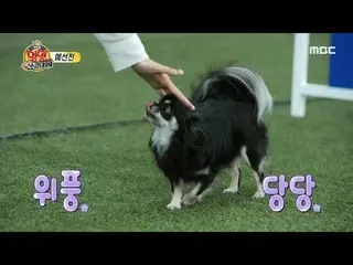 [Formal mbe] [Juara Anjing Idol 2020] LOVELYZ_ Jisoo, roket, dan luar angkasa! B