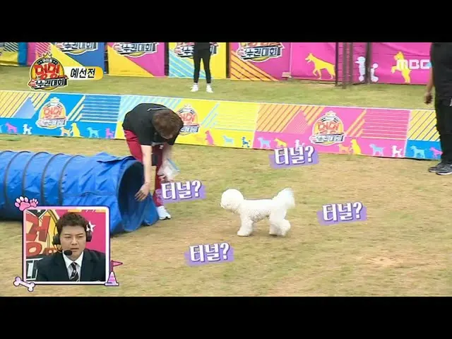 [Formal mbe] [Juara Anjing Idol 2020] [Kualifikasi Grup 2] Putra Emas Jaehyun X 