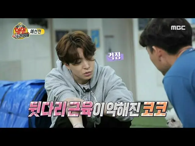 [Formal mbe] [Juara Idol Dog 2020] Fool GOT7_ Pelatihan agility Youngjae dan Coc