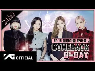 【公式】 BLACKPINK ， BLACKPINK-'24 / 365 dengan BLACKPINK'EP.15  