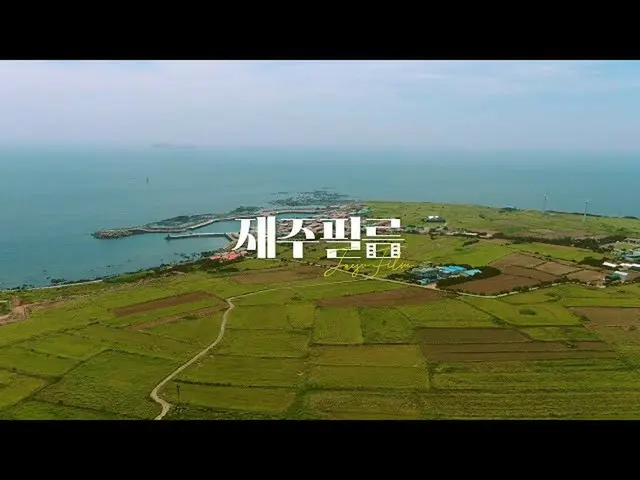 【Formula D yg】 Jalan di jalan terjal | Film Pulau Gappado #SECHSKIES <Film Asli>