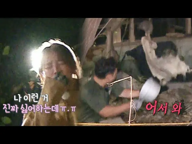 [Formula sbe] Yoon Eun Hye_ × Lee Seung Yoon, jebakan botol! ㅣ Jungle ㅣ SBS ENTE