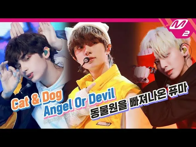 [Formula mn2] TXT_ _ (TXT _) - kucing dan anjing di kebun binatang + malaikat at