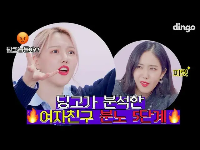 [Official din] (Teaser) 🔥 Enam penyihir datang ke Dingo dan mendapat tanduk yan