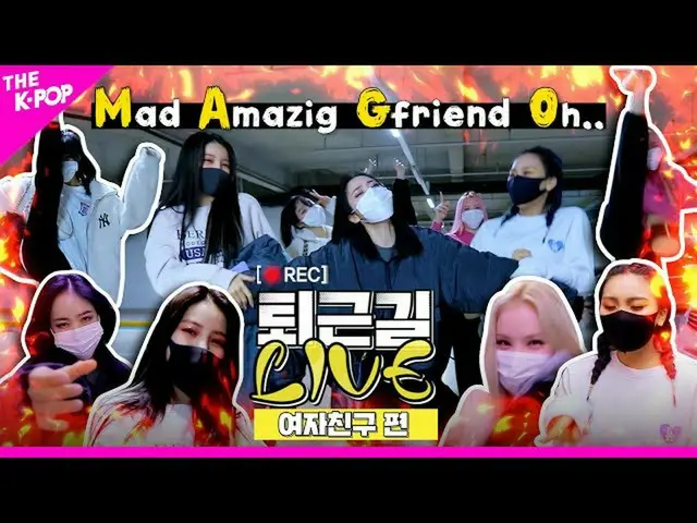 [Formula T] TEMAN, [📺 #LANGSUNG 上 工作] #GFRIEND #GFRIEND Margot #MAGO GFRIEND (G