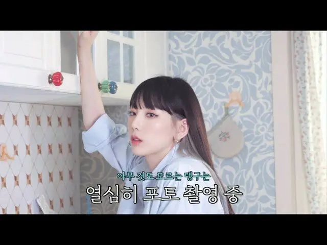 Subjeknya adalah video yang jelas dari SNSD Hyoyeon yang menipu Taeyoung. Perhat