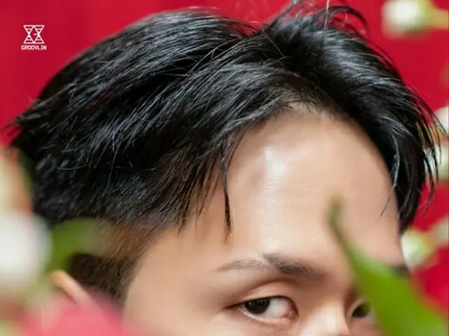 Apa hubungan antara lirik RAVI (VIXX_), lagu "Red Velvet" dari album baru "ROSES