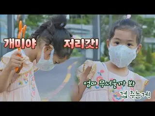[Official jte] Roa yang bersinar untuk Jo Yoonhee_ (JO YOONHEE), tempat semut me