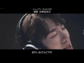 [Subtitle Jepang] [日本语SUBTITLE& Lirik& ] YOO YEONSEOK(Yoo YeonSeock_)-To You(너에게