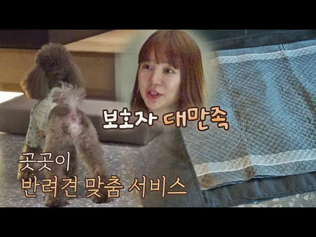 [Official jte] Pemilik anjing Yoon Eun Hye_(YOOU EUN HYE) sangat puas (ﾉ*＞∀＜)ﾉ♡ 