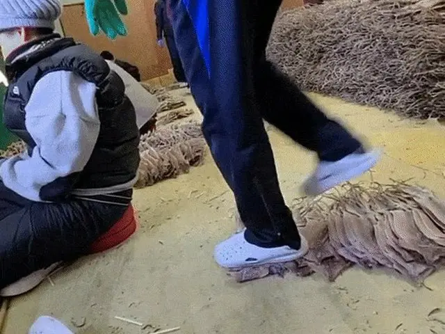 Gambar meregangkan cumi-cumi kering dengan sepatu kontroversial. Denda 700.000 w