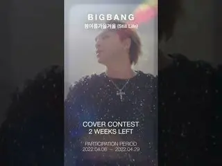 BIGBANG、BIGBANG - 'Spring Summer Fall Winter (Still Life)' COVER CONTEST H-14  