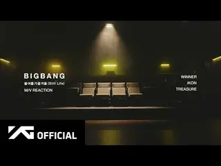 BIGBANG、BIGBANG - 'Spring Summer Fall Winter (Still Life)' M/V REACTION  