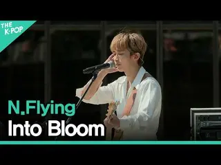 Officialsbp】 N.Flying_ (N.Flying_ _ ) - (Into Bloom)ㅣLIVE_ _ ON UNPLUGGED N.Flyi