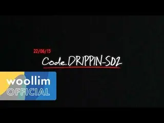 [Official woo] DRIPPIN_ _ (DRIPPIN_) 2ND SINGLE ALBUM [Villain: ZERO] Album Prev