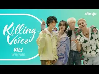 [Officialdin] Suara pembunuhan WINNER_ _ langsung! | Musik Anjing Liar | Musik A