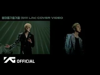 WINNER、YOON X MINO - BIGBANG 'Spring Summer Fall Winter (Still Life)' COVER VIDE