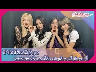 "BLACKPINK" adalah siaran langsung status keberangkatan Bandara Internasional AS