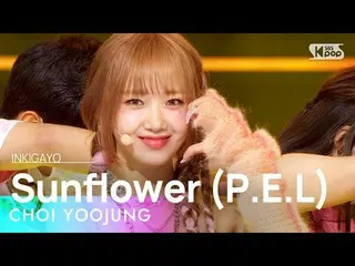 【Official sb1】CHOI YOOJUNG(Choi Yoojung) - Sunflower (PEL) INKIGAYO_inkigayo 202