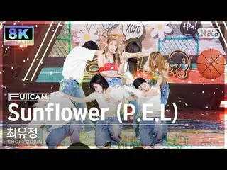 Official sb1】[SUPER ULTRA 8K] Yoojung Choi 'Sunflower (PEL)' FullCam (CHOI YOOJU