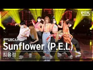 Official sb1】[Home Room 1 Full Cam 4K] Yoojung Choi 'Sunflower (PEL)' (CHOI YOOJ