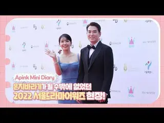 [Resmi] Apink, Apink Mini Diary - Penghargaan Drama Seoul 2022, Saya Tidak Dapat