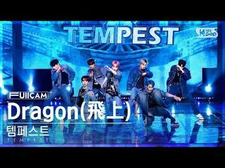 [Formula sb1] [Home room 1st row full cam 4K] Tempest 'Dragon' (TEMPEST FullCam)