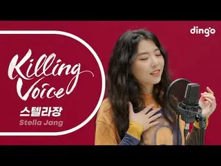[Resmi] Suara Pembunuhan STELLAR_Stella Jang Langsung! | Musik Dingo | Musik Din