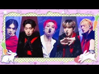 [Formula mnk] [Spesial Tahun Kelinci 2023] ATEEZ_ _ (ATEEZ_ ) - HALAZIA #M COUNT