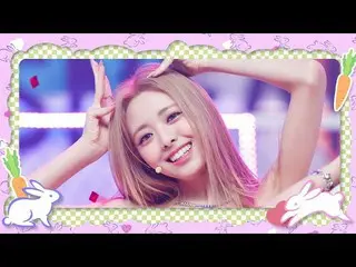 [Formula mnk] [Spesial Tahun Kelinci 2023] ITZY_ _ (ITZY) - SNEAKERS #M COUNTDOW