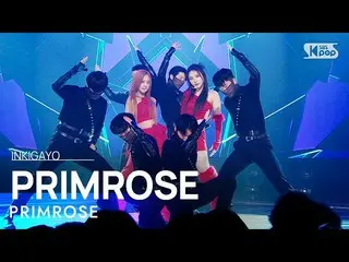 【公式sb1】PRIMROSE_ (프림로즈) - PRIMROSE_ INKIGAYO_ inkigayo 20230129  