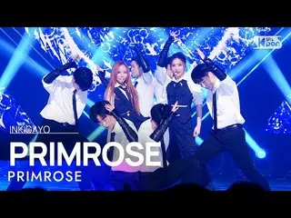 【公式sb1】PRIMROSE_ (프림로즈) - PRIMROSE_ INKIGAYO_ inkigayo 20230205  