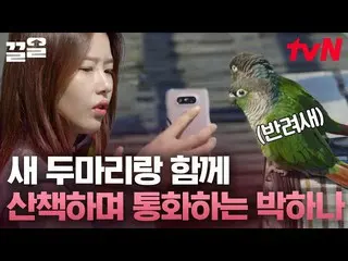 [Official tvn] Mendaki bersama burung agar tidak merasa kesepian! Park HaNa_ ber
