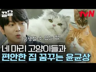 [Formula tvn] Rumah Butler Kucing terlahir kembali sebagai ruang impian Yun Kyun