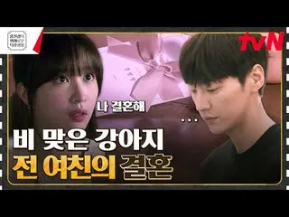 [TVN Resmi] Kim Young Kwang_Dikhianati oleh Kekasih Ahn Hee Yeon? anak anjing. E